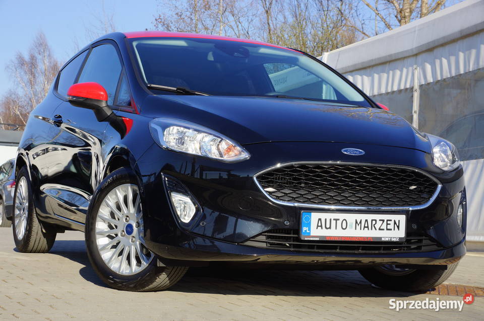 Ford Fiesta 10 Benzyna 100 Klima Kamera Mały
