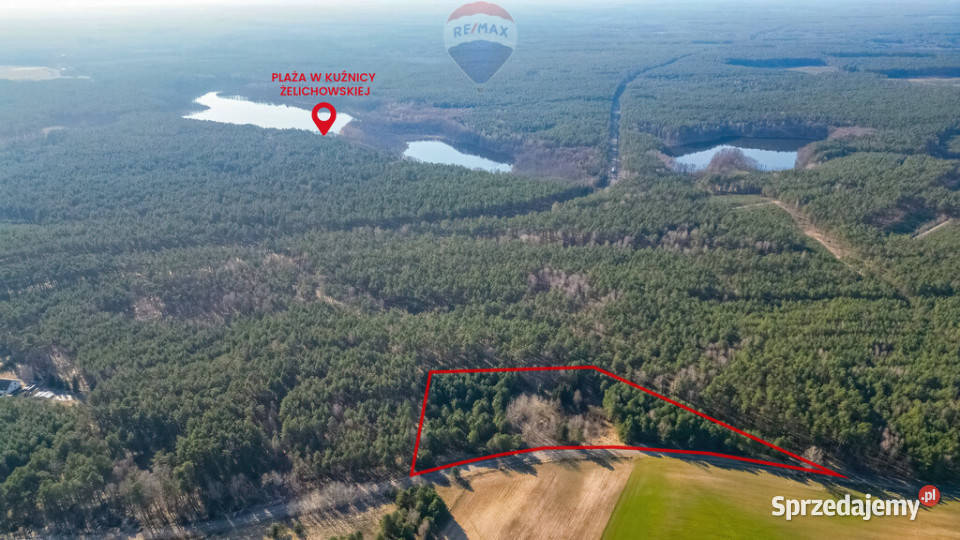 Działka rolna Kuźnica Żelichowska jezioro widoki wielkopolskie