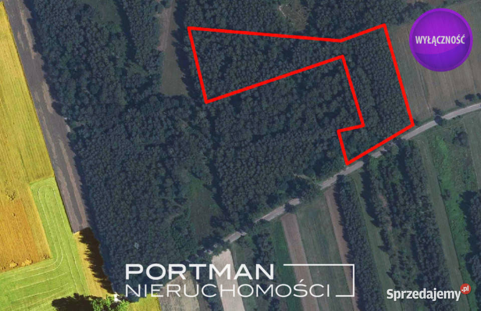 Działka w Dobrzyńcu 15 200 m2 Dobrzyniec