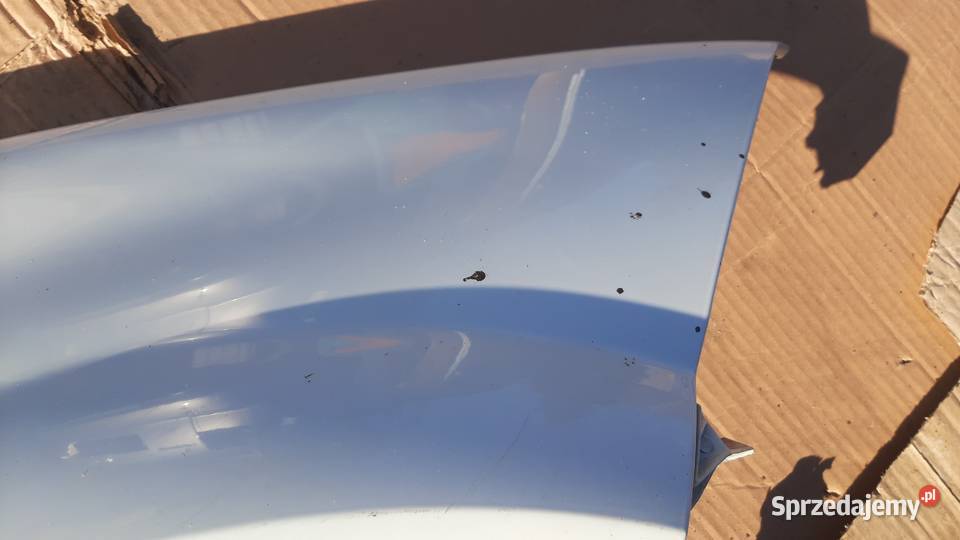 lak DV369 błotnik lewy Renault Megane II 2 BIAŁY Dębno