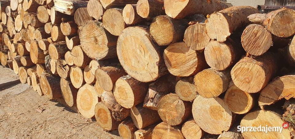 Sprzedam drewno opałowe SOSNA sucha Opał pomorskie Stegna