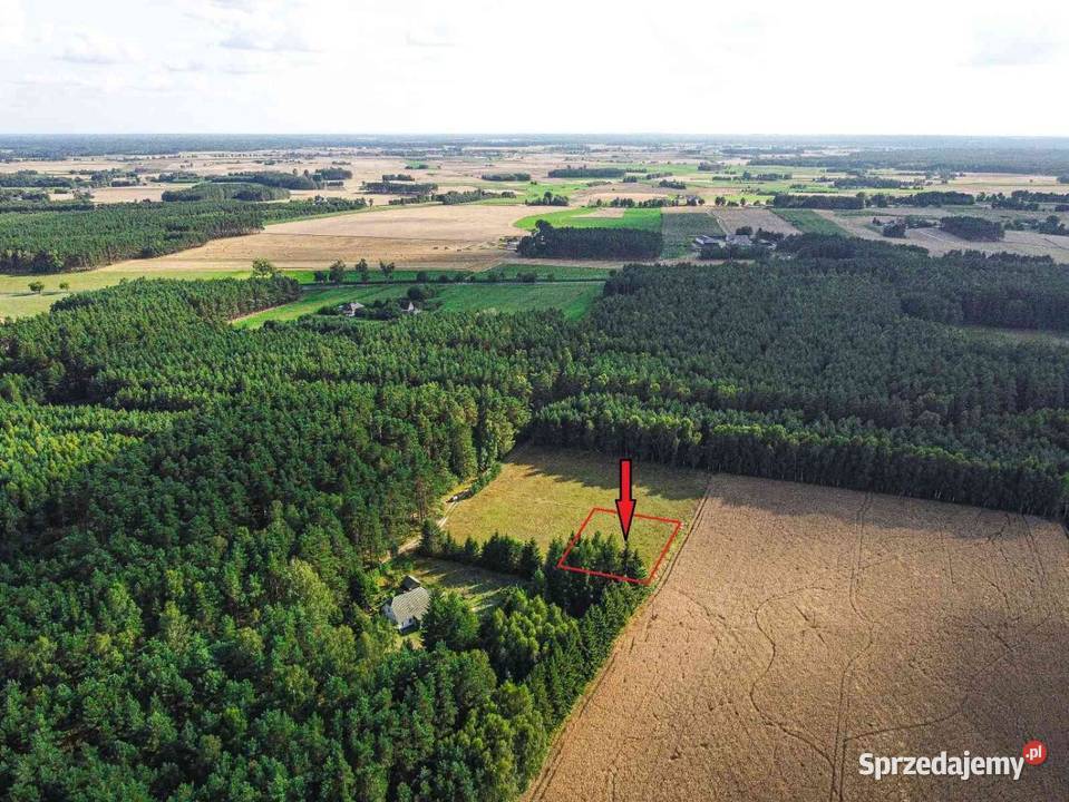 Działka budowlana w otulinie lasu 1382 m2 Bysław sprzedam