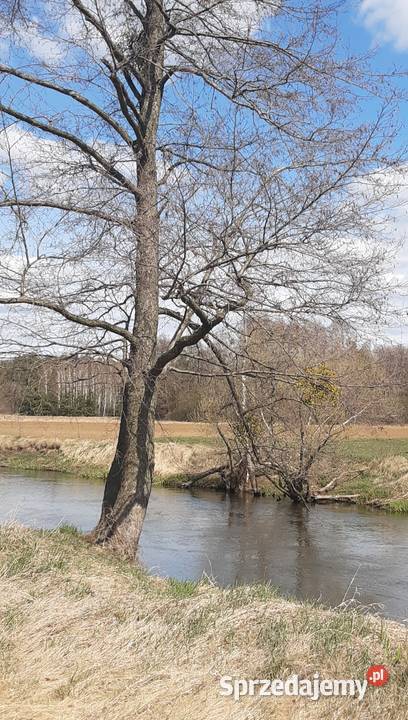 Ziemia rolna 2 hektary Brzóza gmGłowaczów mazowieckie Warszawa sprzedam
