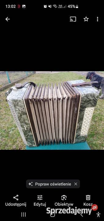 Akordeon guzikowka Gdynia