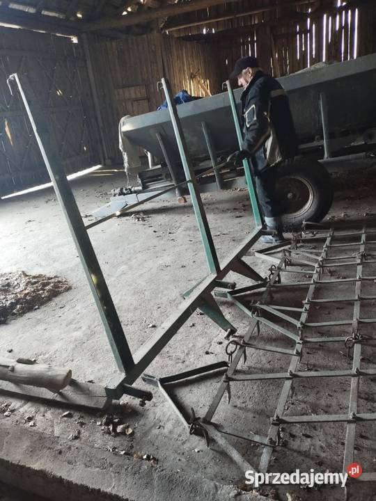 Brony trójki w stanie podlaskie Hajnówka