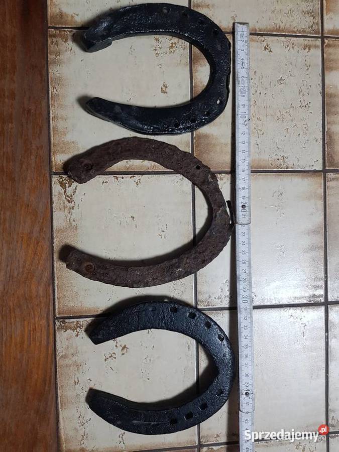 Pięknadużaoryginalna podkowa na szczęście inny kolor zachodniopomorskie Barlinek