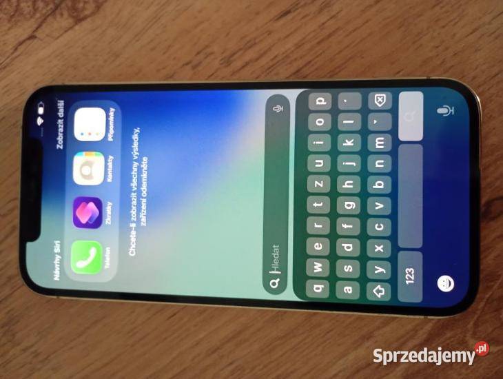 iPhone 11 256 GB