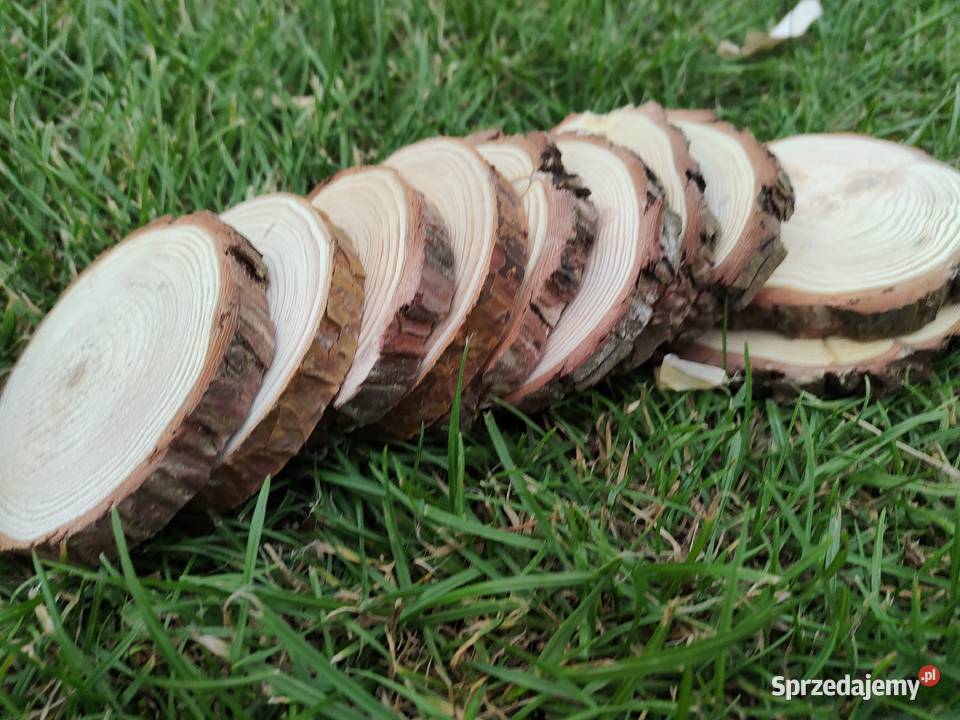 Pieńki plastry suche sosna różne średnice i Kulno