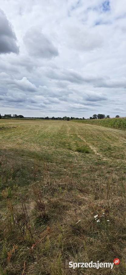 Działka siedliskowa RZ 87 arów Pożarów sprzedam