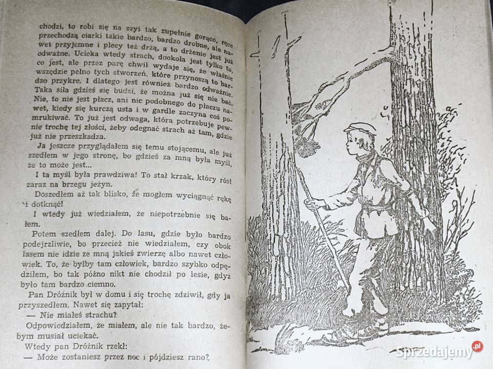 Cień słońca Jan Piepka Chełm sprzedam