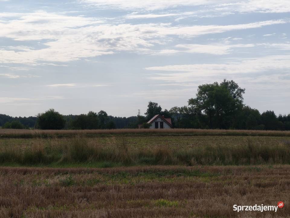 Ostatnie 3 działki Kaczkowo sprzedam