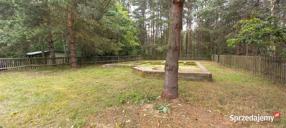 Cierpisz k Sędziszowa działka rekreacyjna podkarpackie Sędziszów Małopolski sprzedam