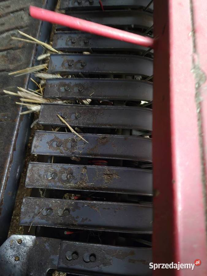 Prasa Rolujące (belujące)