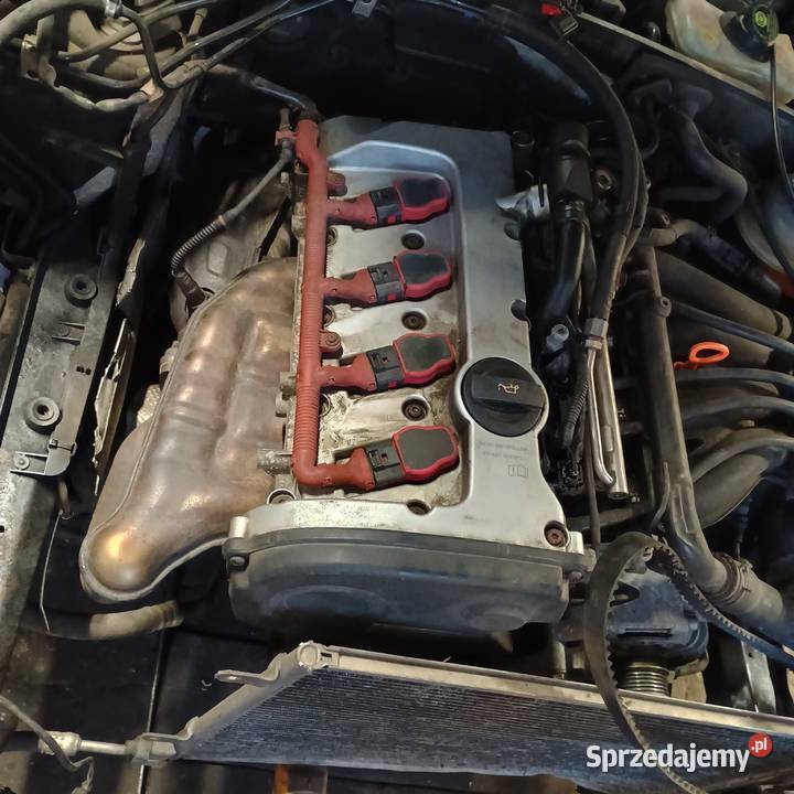 SILNIK 20 ALT 130 AUDI A4 B6 B7 A6 C5 Bychawa