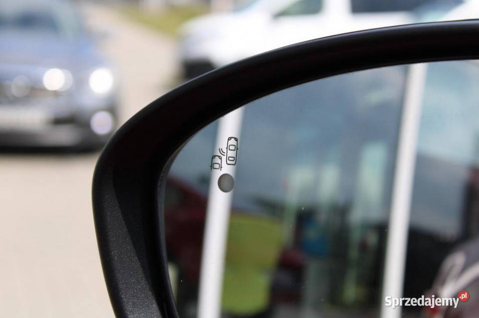 Renault Arkana 2022r ACC Podgrzew fotele i Rok produkcji 2022 Arkana Gdańsk sprzedam
