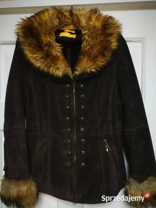 Kożuszek brązowySM małopolskie