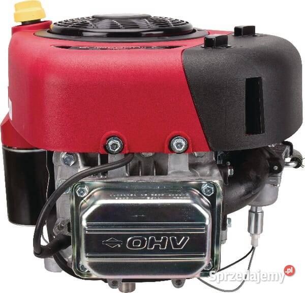 Silnik wał pionowy 133 3130 jednocylindrowy małopolskie Kamionna