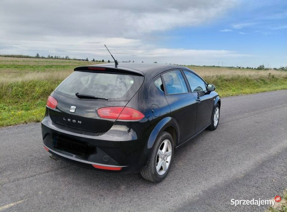 Seat Leon 2011 16TDi Rok produkcji 2011 Rajkowo