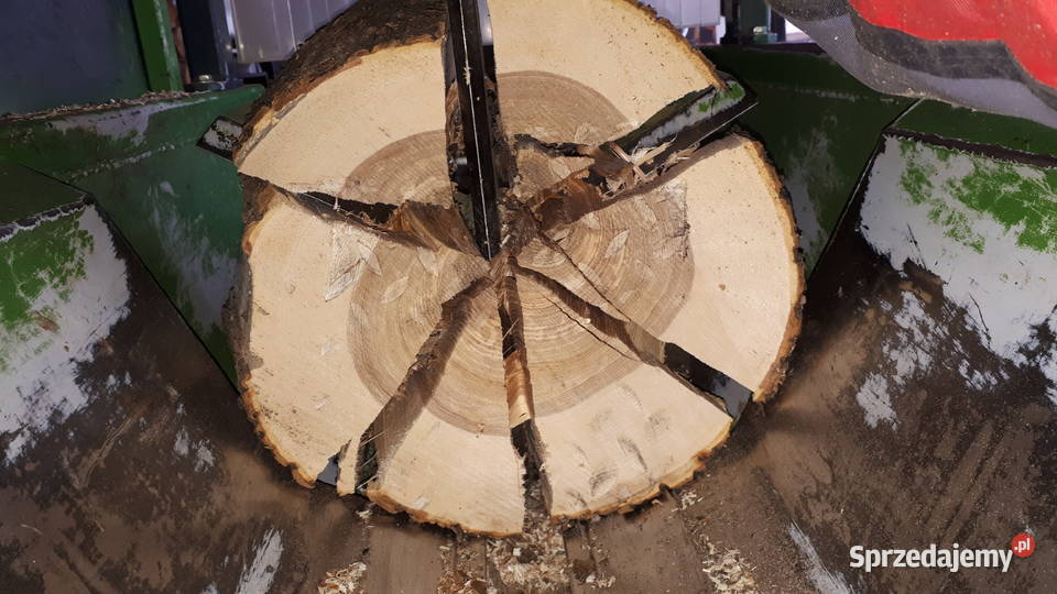 drewno kominkowe Buk