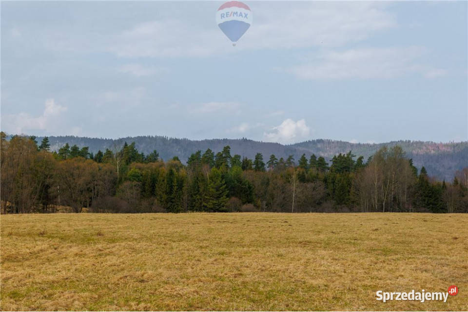 Działka w Sopotni Wielkiej kŻywca 0m Sopotnia Wielka