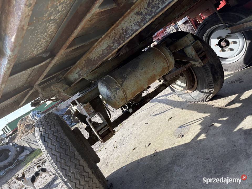 Przyczepa hl 6011 nieuszkodzony wielkopolskie Twardów