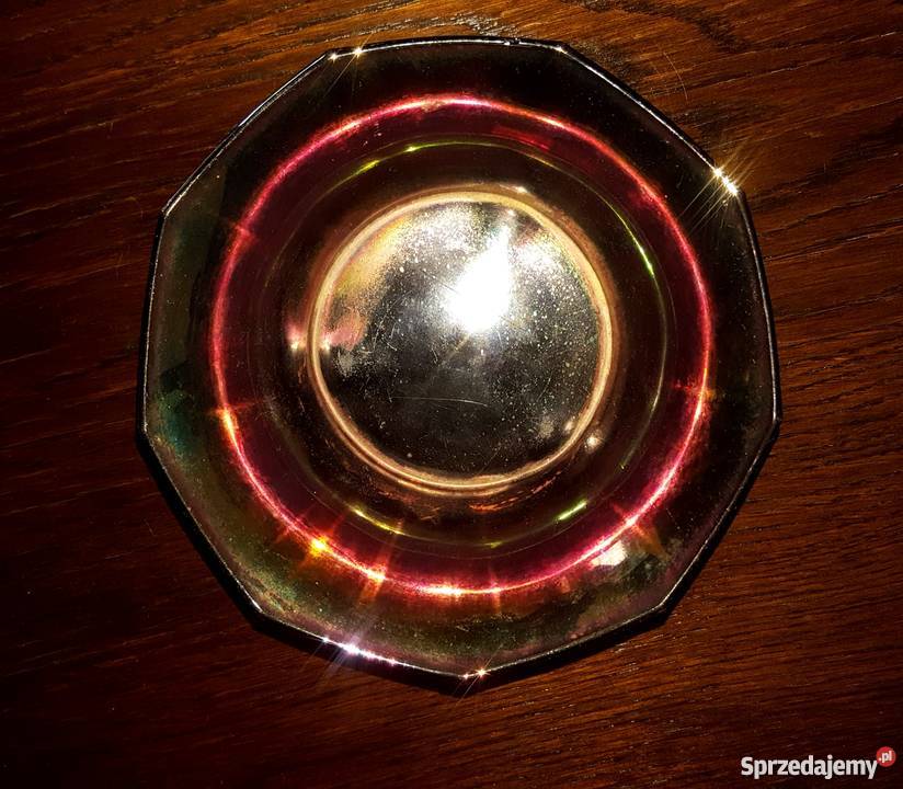 Paterka opalizująca Gdynia