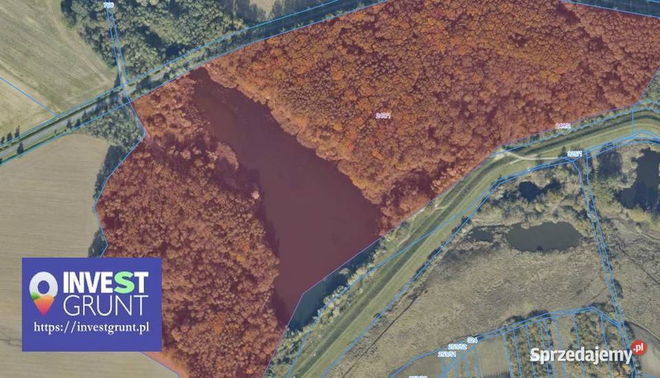 444 ha stawy rybne przetarg na dzierżawę 44400m2 Kościerzyce