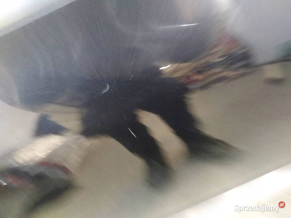 DRZWI LEWE PRZÓD LC9Z VW Volkswagen Touareg I sprzedam