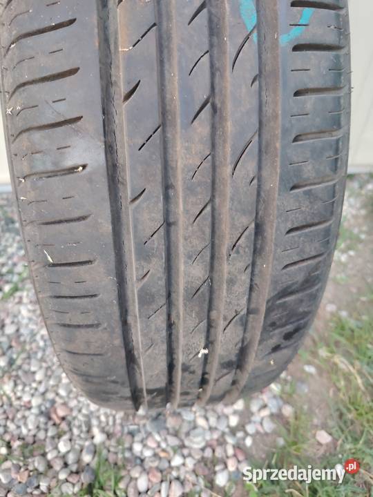 Komplet letnich opon 10555 R16 firmy Nexen 16cale Marcinkowo