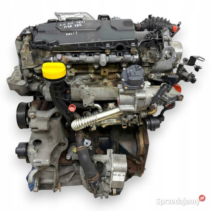 SILNIK M9R786 Opel Vivaro Renault Trafic Nissan osobowe lubelskie Chełm