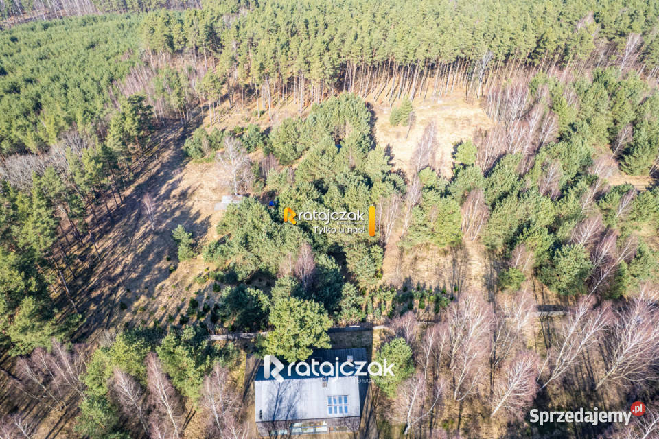 Grunt na sprzedaż 9751m2 Sasino Stara Cegielnia