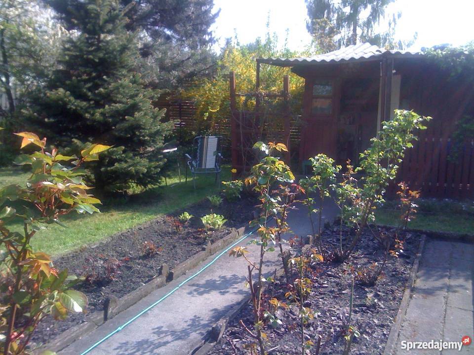 ogródek działkowy Zabrze Rymera śląskie sprzedam