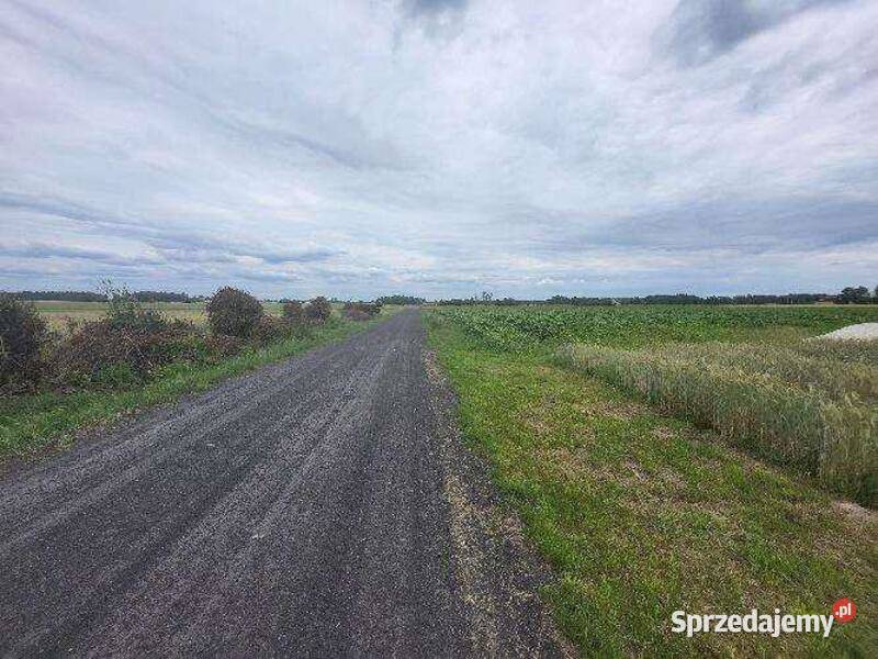 Niezabudowana nieruchomość rolna łączna pow Dziadkowskie-Folwark sprzedam
