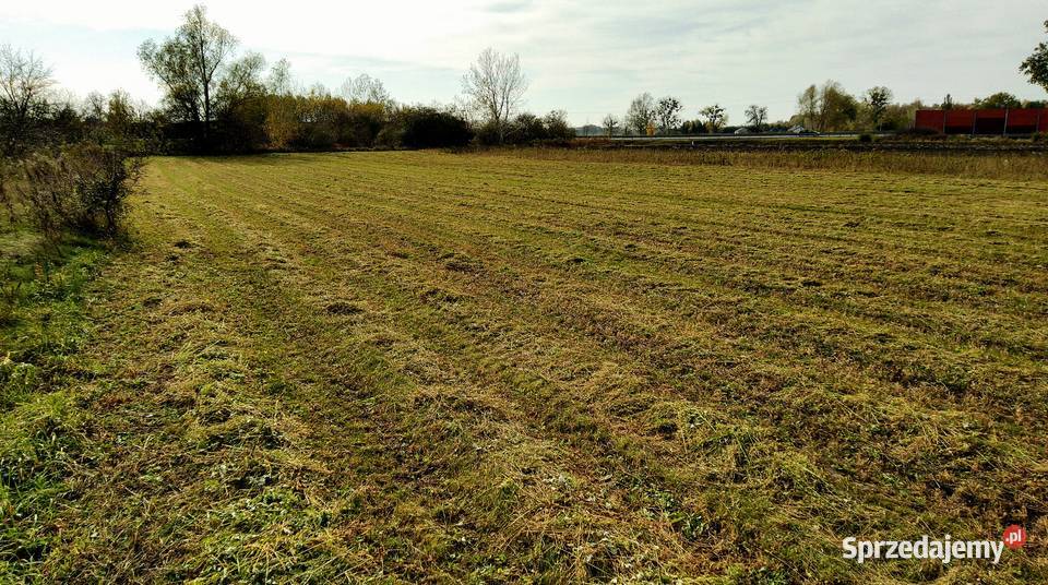 Kąty działka rolna możliwość podzielenia Sochaczew sprzedam