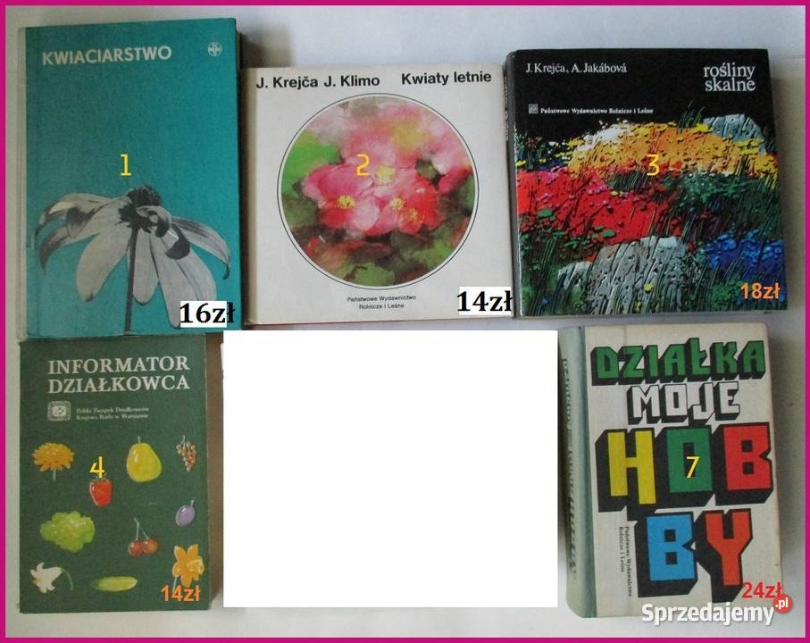 Kwiaty w mieszkaniu Schubert ogród kwiaty Łódź