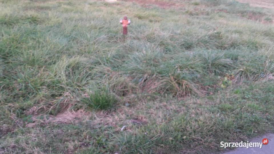 Działka budowlana 46m szerokości Komorów