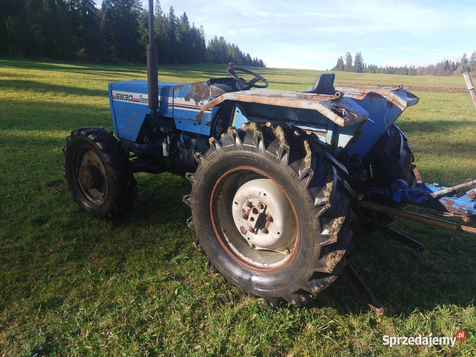 Landini 5830 Mf 254 małopolskie Nowy Targ