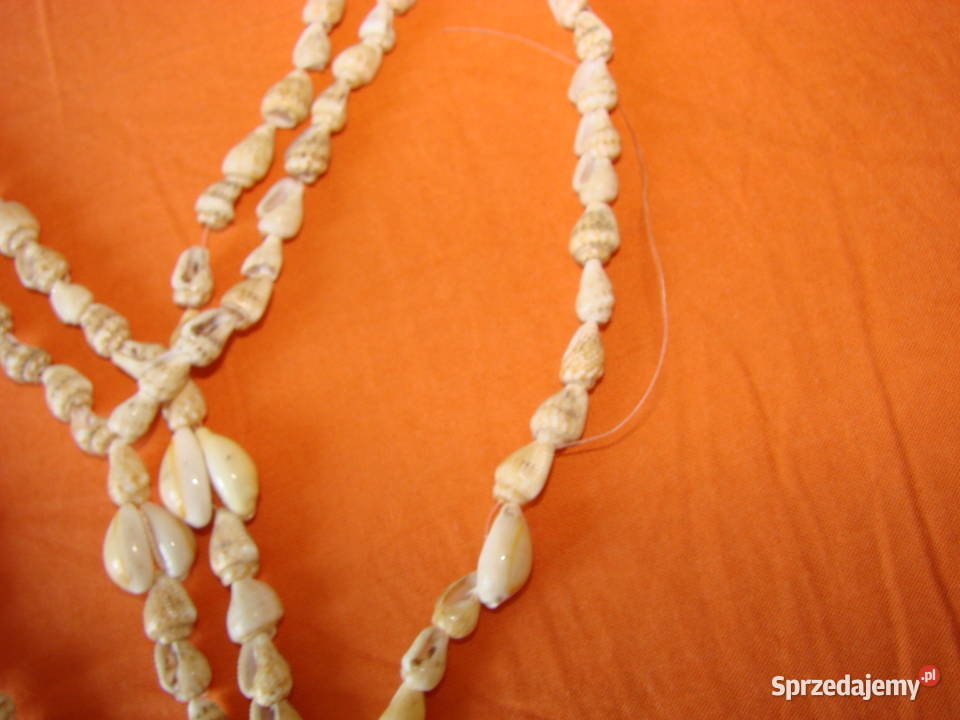 naszyjnik z muszelek