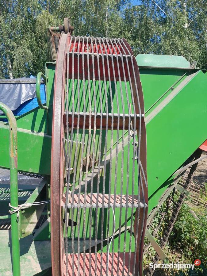 Kombajn do ziemniaków Wuhlmaus Drohojów