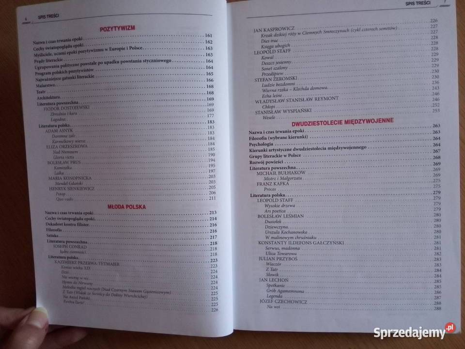 Repetytorium maturzysty język POLSKI GREG kompendium, repetytorium, opracowanie śląskie sprzedam