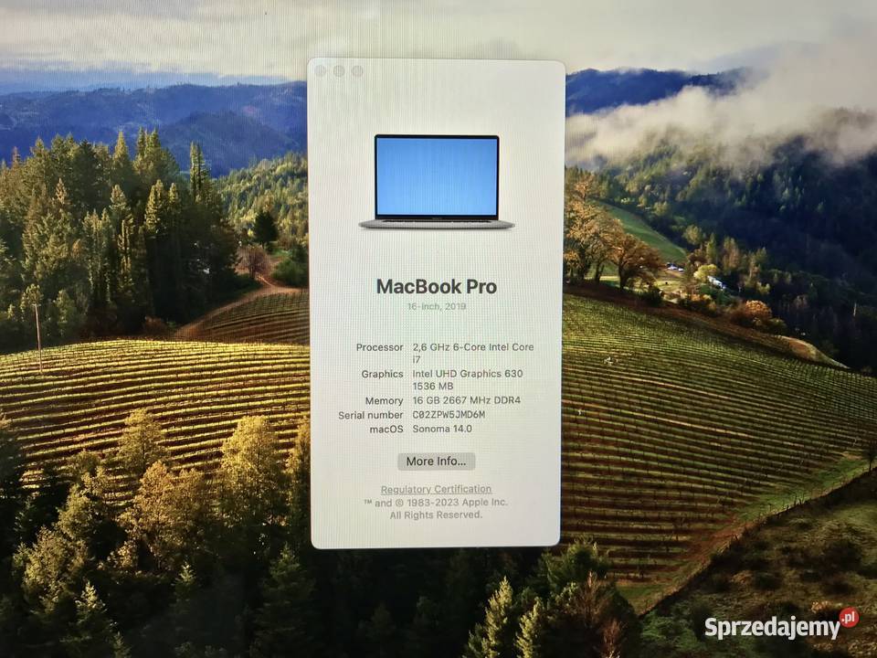 Apple MacBook Pro 16 A2141 i7 16512GB SSD Radeon Warszawa