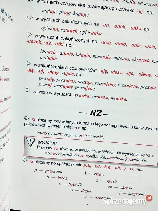 Ilustrowany słownik ortograficzny outlet książki Warszawa