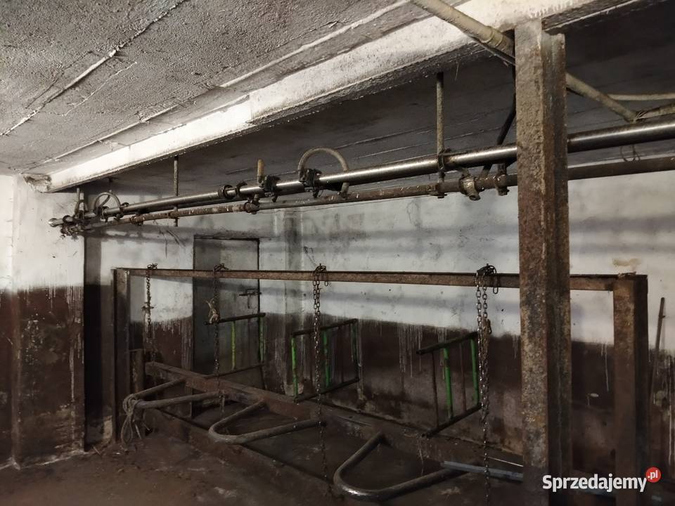 Dojarka przewodowa Westfalia Zbiornik Japy 1200l Regów Stary sprzedam