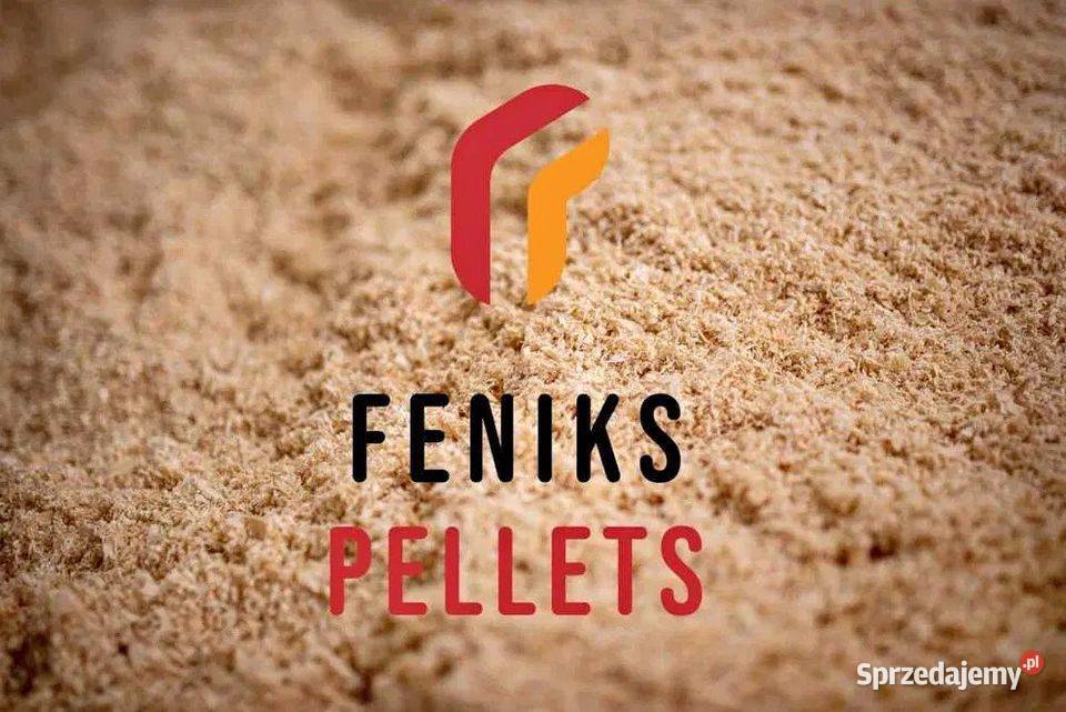 Pellet Olczyk Lava Olimp Barlinek Feniks Rydułtowy