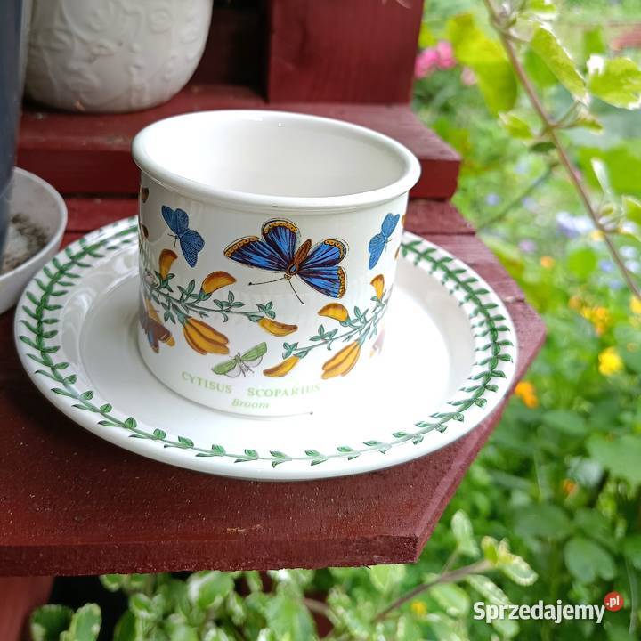 Portmeirion Botanic gardenFiliżanka z Szczytno sprzedam