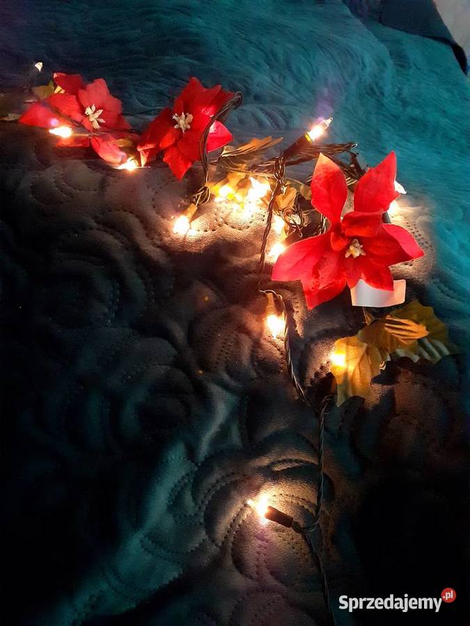 gwiazda betlejemska girlanda do powieszenia Gdańsk