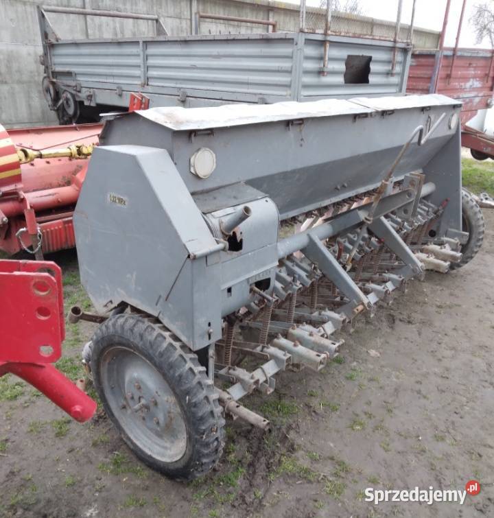 Siewnik poznaniak świętokrzyskie Mnichów