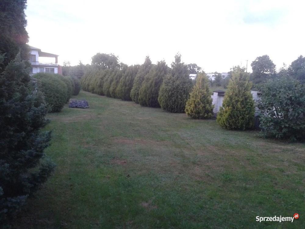 dom czesciowo wykonczony w ciechanowcu podlaskie Ciechanowiec