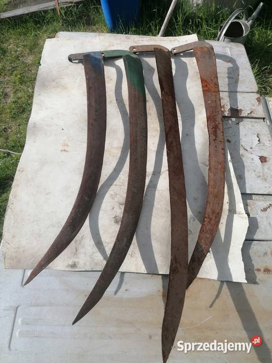 Kosy świętokrzyskie Skarżysko-Kamienna