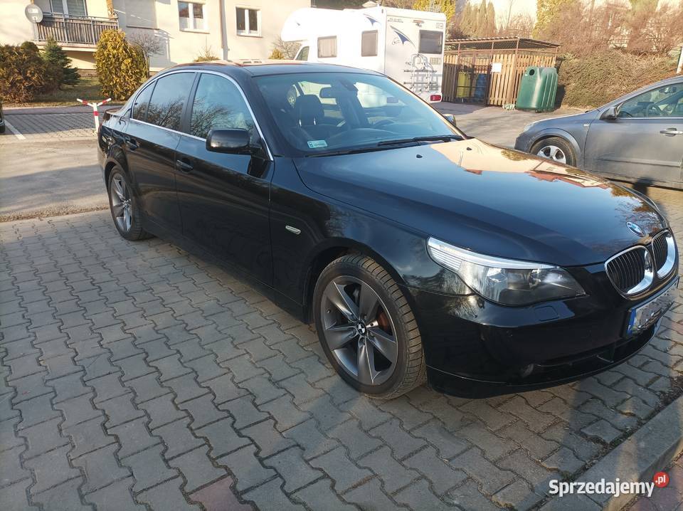 Czarnulka z chromem Kraków